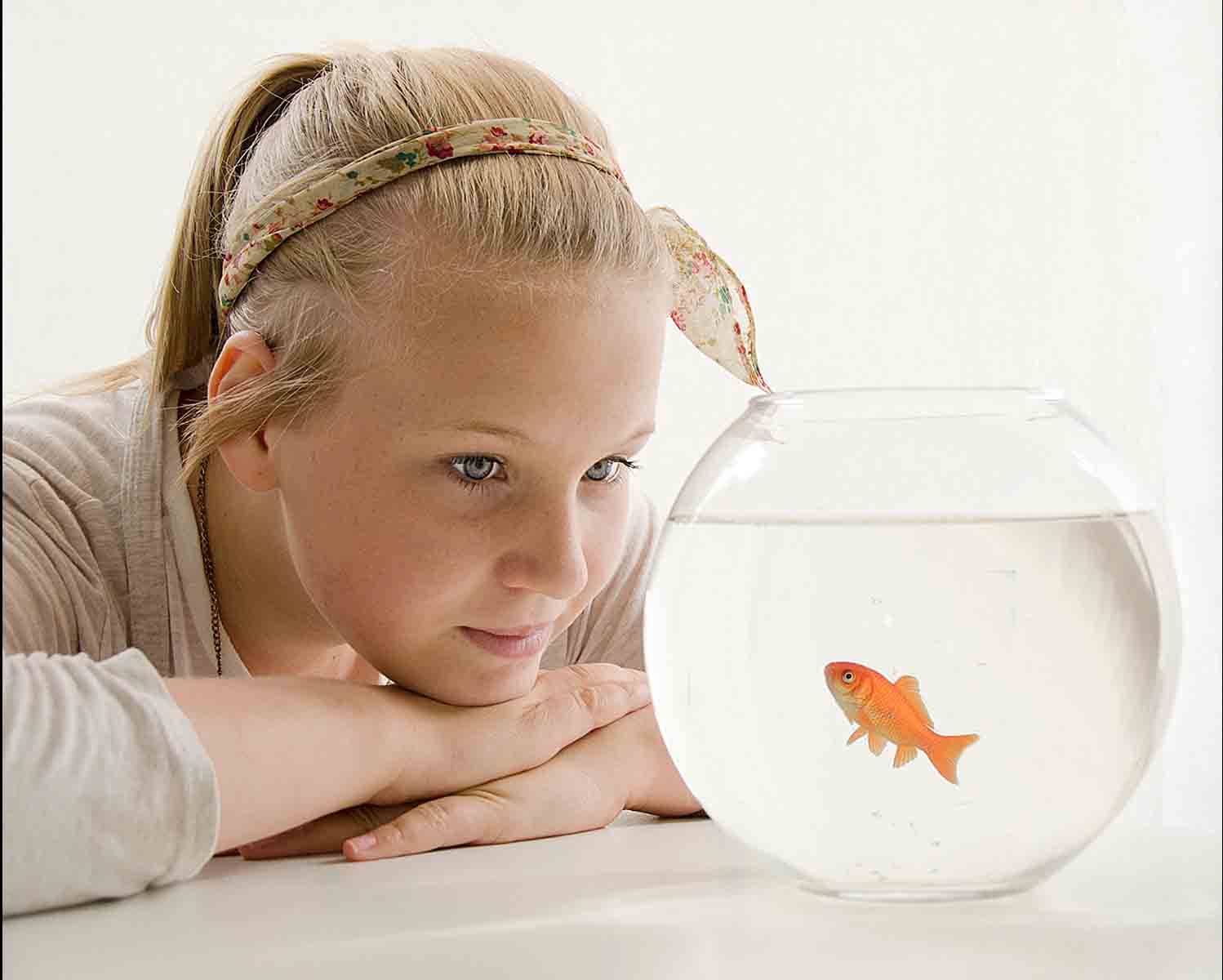 11. Goldfish Fascination.jpg